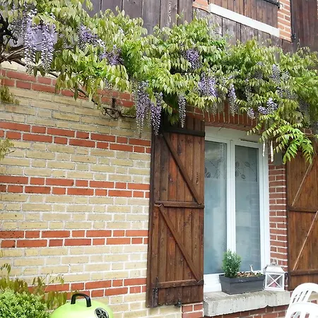 La Glycine *