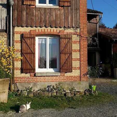 La Glycine Moiremont